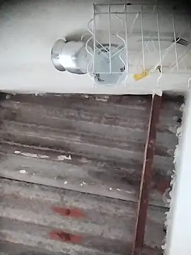 AlexaWarner online show from 12/20/25, 06:22