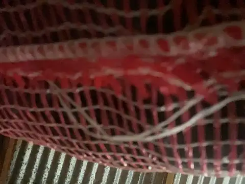 AlexaWarner online show from 03/30/26, 09:05