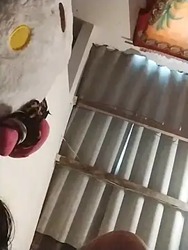 Snapshot of AlexaWarner chatting on 11/13/25, 04:00 AlexaWarner online show from 11/13/25, 04:00