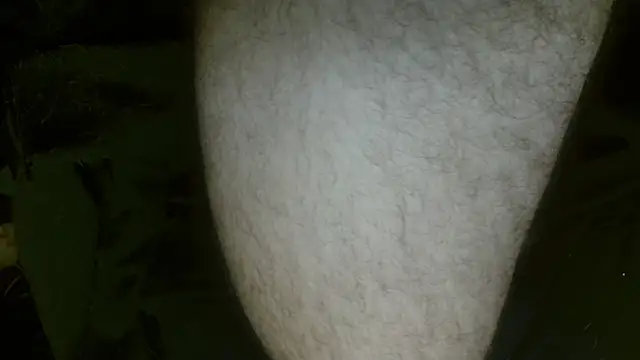 Gigadickman online show from 02/27/25, 01:30