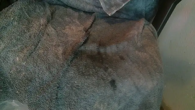 Gigadickman online show from 01/14/25, 08:26