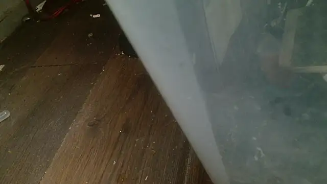 Gigadickman online show from 02/27/25, 04:35