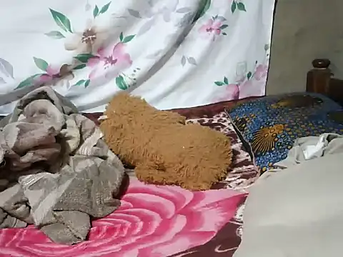 mdivah online show from 11/13/25, 06:34