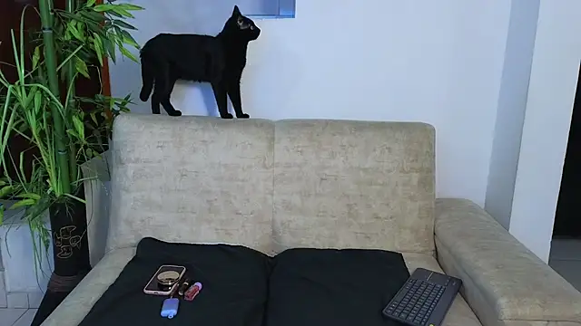 Lorenne Miller online show from 03/13/26, 03:11