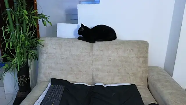 Lorenne Miller online show from 04/22/26, 03:57