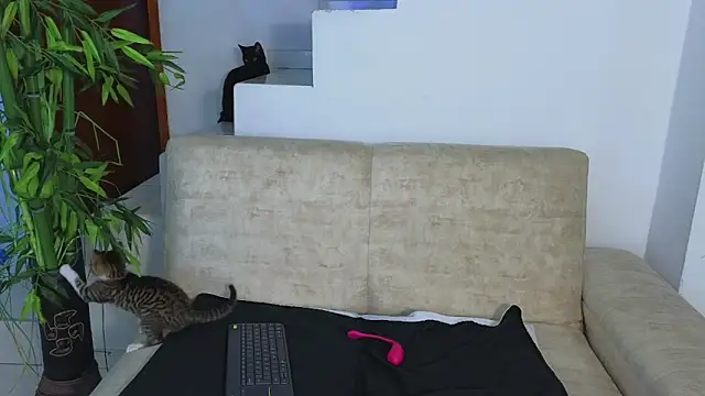 Snapshot of Lorenne_Miller chatting on 10/21/25, 03:39 Lorenne Miller online show from 10/21/25, 03:39