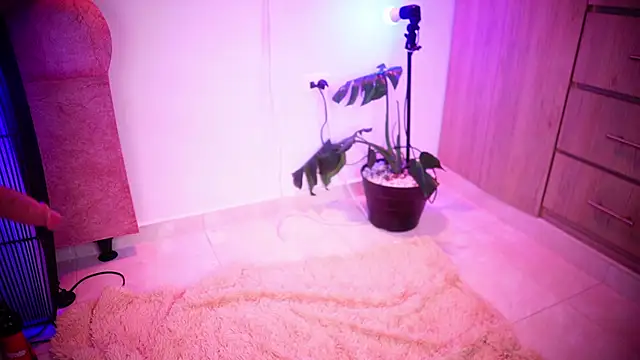 Mikubani18 online show from 11/08/25, 03:43