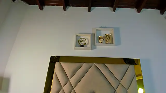 ariana-martins online show from 11/15/25, 03:10