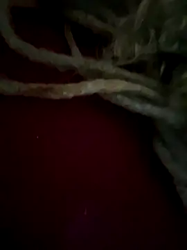 sammoura01 online show from 09/25/25, 12:00