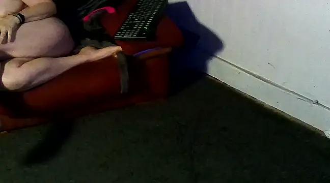 cplf2024 online show from 02/26/25, 12:41