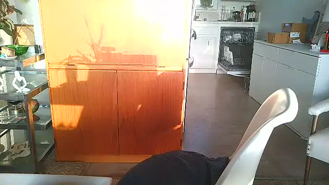 costanza7070 online show from 12/15/25, 12:05