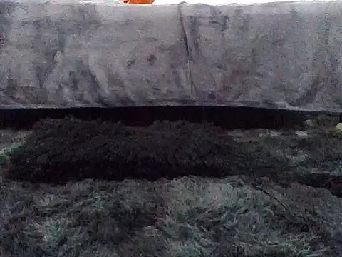 Gibbzmx online show from 09/19/25, 06:56