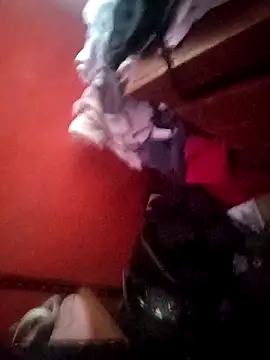 VL25DN26 online show from 04/05/26, 10:38