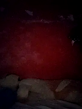 VL25DN26 online show from 10/30/25, 09:29