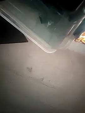 VL25DN26 online show from 03/09/26, 02:09