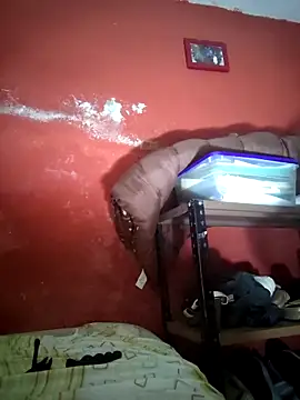 VL25DN26 online show from 12/19/25, 09:44