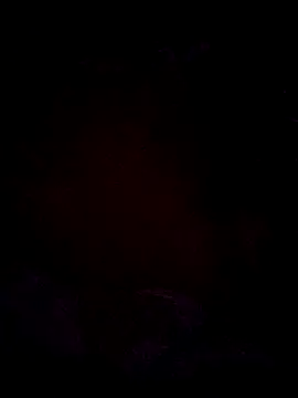 VL25DN26 online show from 10/19/25, 04:59