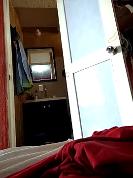 Snapshot of VL25DN26 chatting on 02/11/26, 09:47 VL25DN26 online show from 02/11/26, 09:47