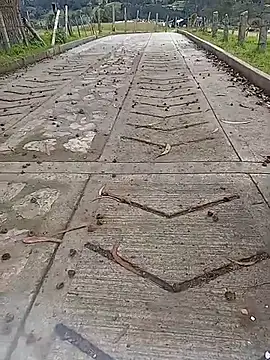 Snapshot of Cuervo_maniaco chatting on 10/12/25, 04:19 Cuervo maniaco online show from 10/12/25, 04:19