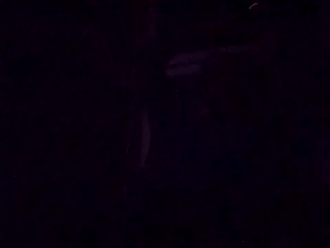 DrbigdickUK online show from 09/28/25, 08:27