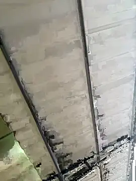 eva y marcelo online show from 11/03/25, 11:14