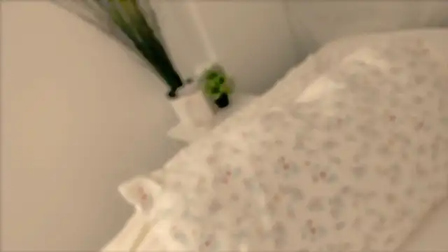  cherry bloss  online show from 11/28/25, 11:05