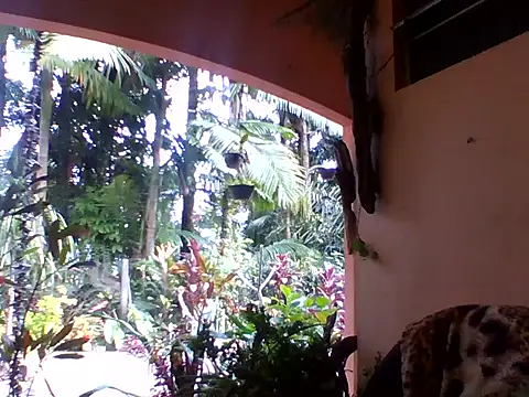 Snapshot of sellvageria chatting on 10/04/25, 12:39 sellvageria online show from 10/04/25, 12:39