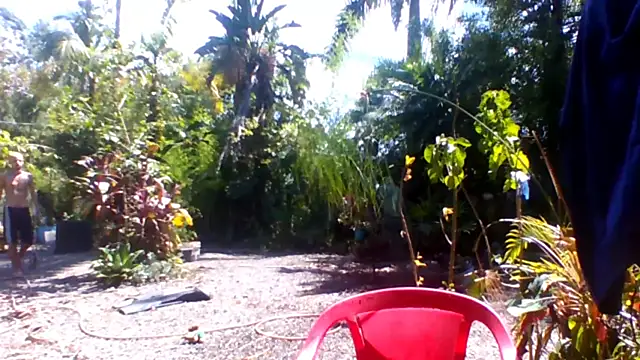 sellvageria online show from 12/15/25, 05:08