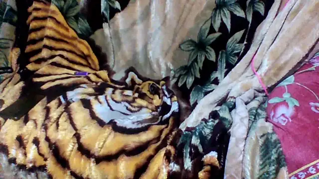 Snapshot of sellvageria chatting on 10/12/25, 02:57 sellvageria online show from 10/12/25, 02:57