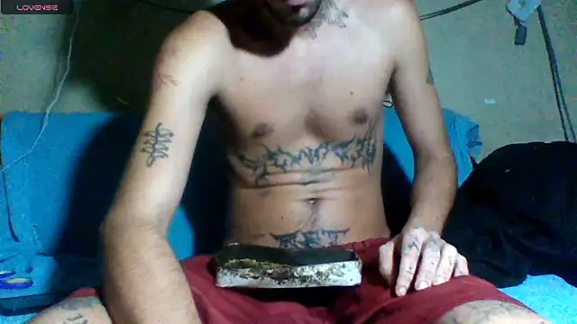 sellvageria online show from 03/12/26, 02:28