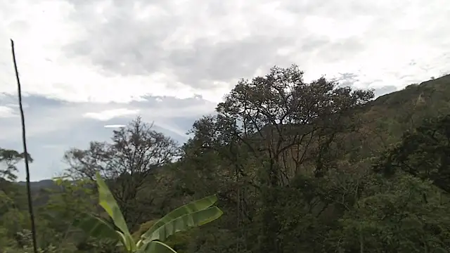 andreu mature online show from 10/02/25, 02:09