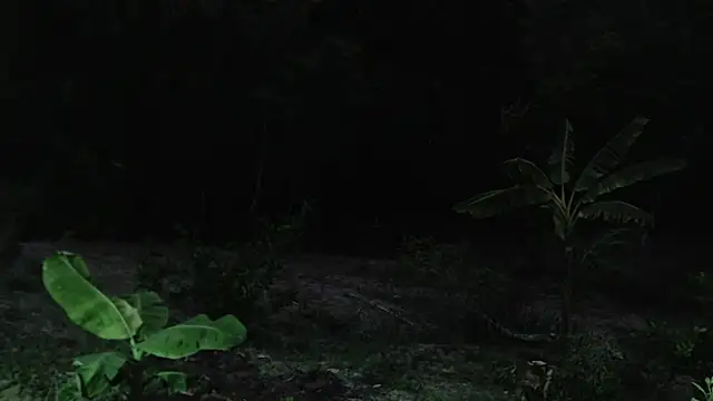 andreu mature online show from 10/01/25, 11:08