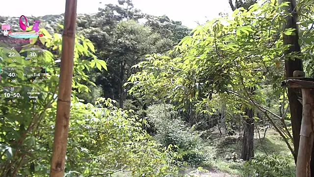 andreu mature online show from 11/20/25, 03:12