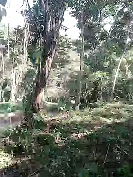 andreu mature online show from 02/11/26, 08:31