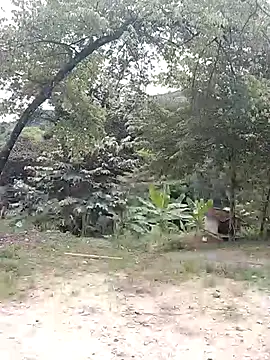 andreu mature online show from 02/21/26, 04:20