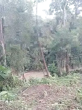 andreu mature online show from 03/26/26, 11:02