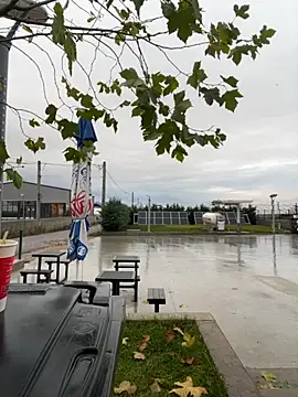 baramadalin online show from 12/01/25, 05:52