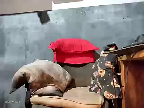 bumbumtatuado online show from 01/13/26, 02:26