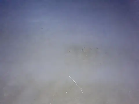 beauty-me  online show from 01/31/25, 09:59