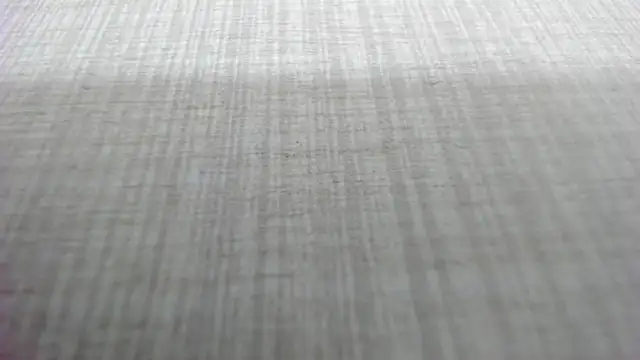 AishaRouhi online show from 03/04/26, 05:15