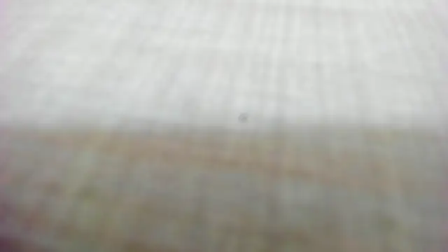 AishaRouhi online show from 02/14/26, 05:29