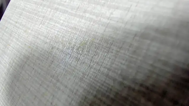 AishaRouhi online show from 04/11/26, 03:58