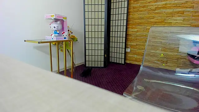 AishaRouhi online show from 12/17/25, 06:07