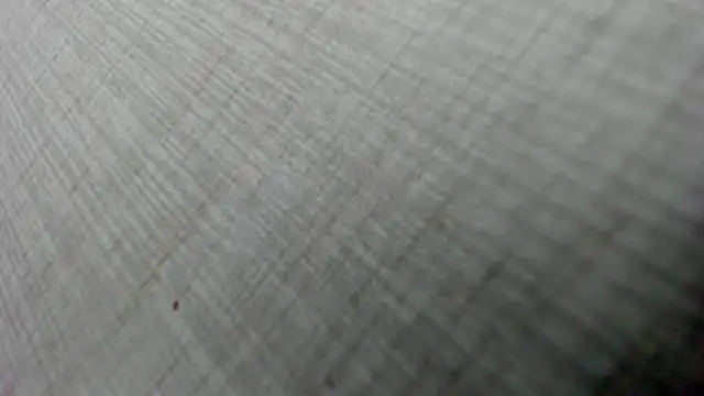 AishaRouhi online show from 02/03/26, 05:05