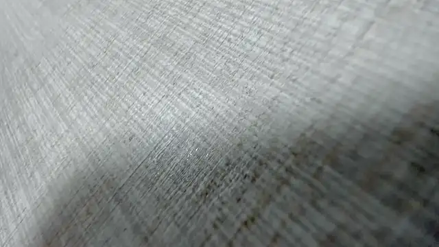 AishaRouhi online show from 03/31/26, 04:14