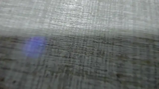 AishaRouhi online show from 03/25/26, 04:34