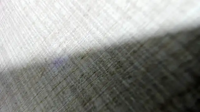 AishaRouhi online show from 03/14/26, 04:40