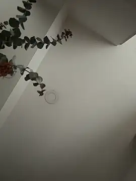 Rubitaboom online show from 10/24/25, 09:03