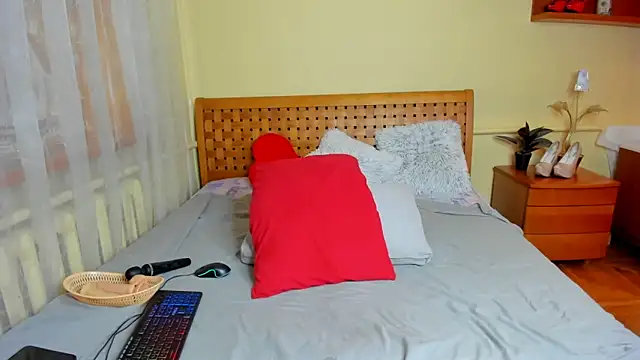 Moon  Eclipse online show from 11/13/25, 07:45