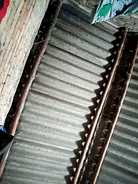 Lukas strong online show from 09/08/25, 03:00